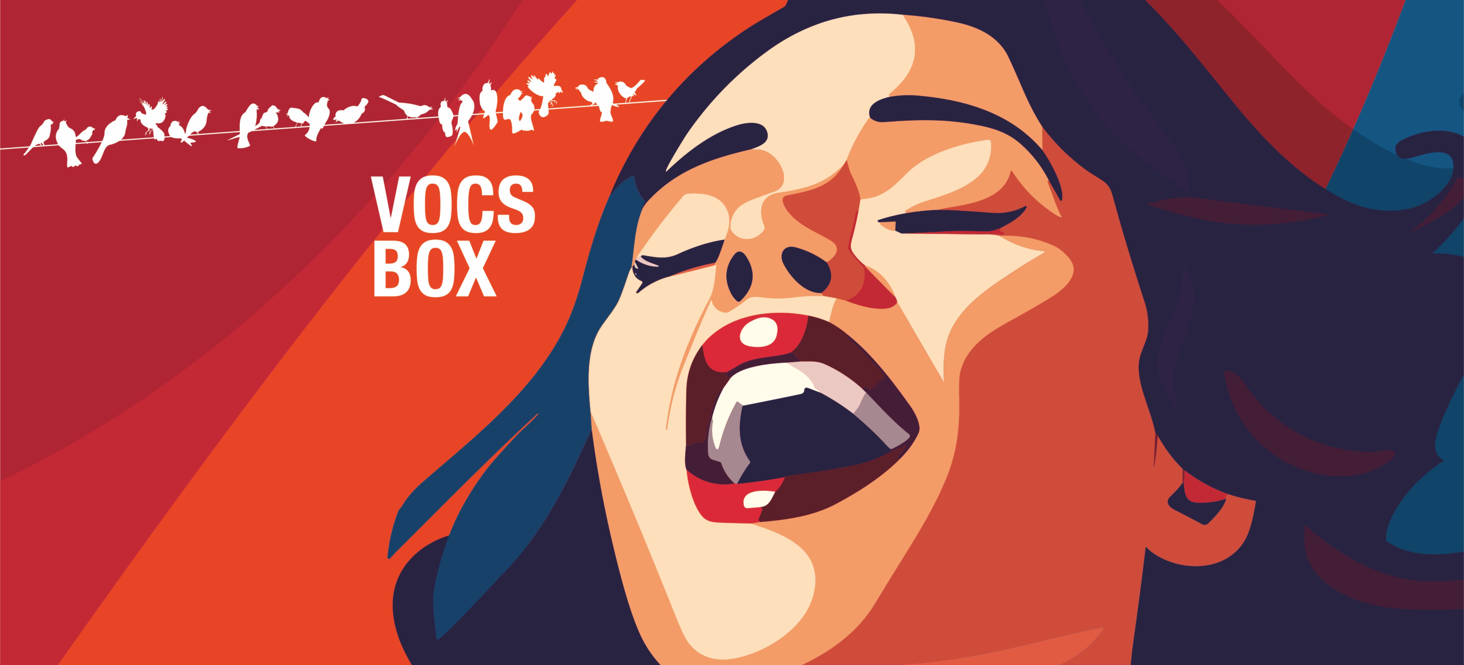 Vocs Box – «Emotions»